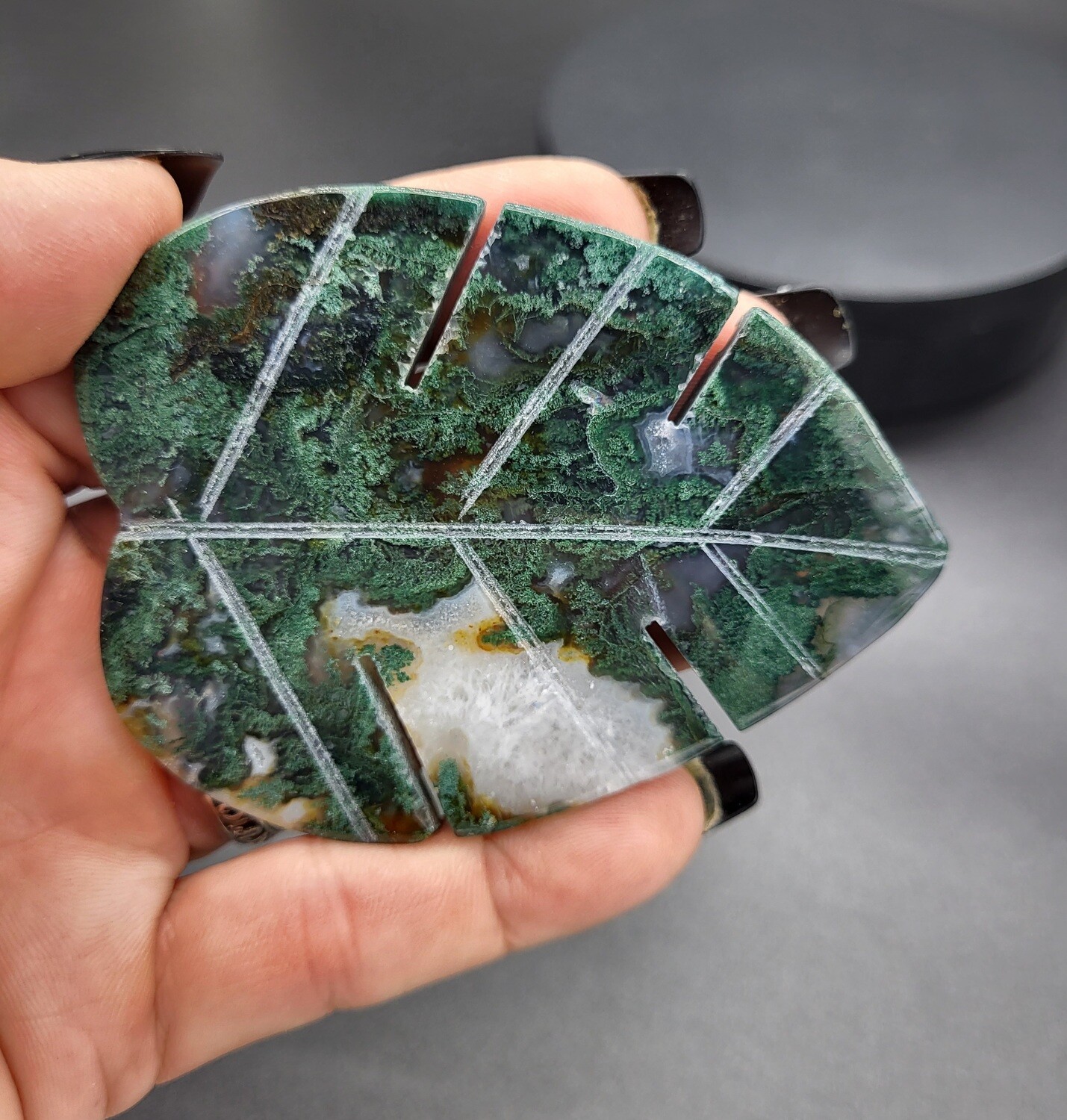 MOSS AGATE LEAVES