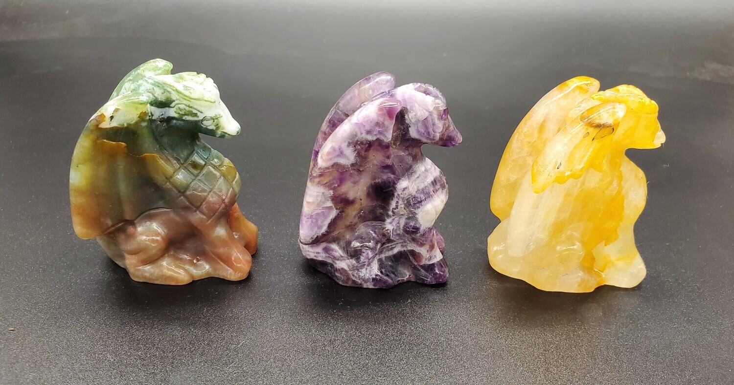 SITTING DRAGONS