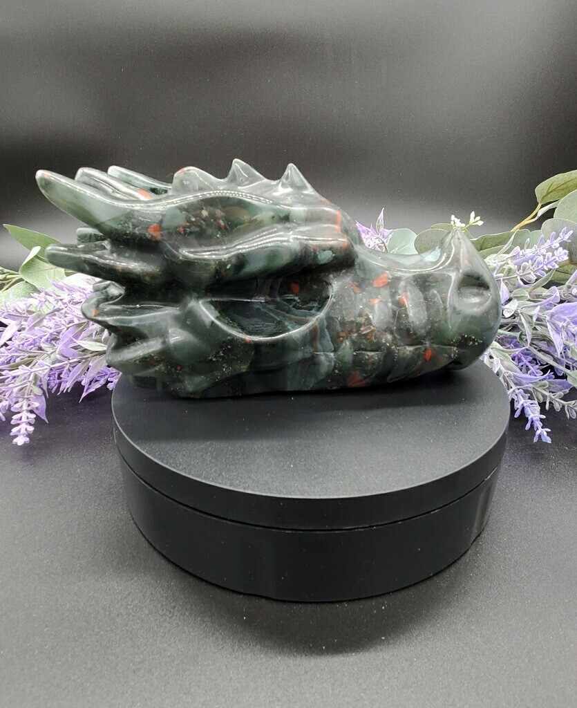 AFRICAN BLOODSTONE DRAGON HEAD - XL