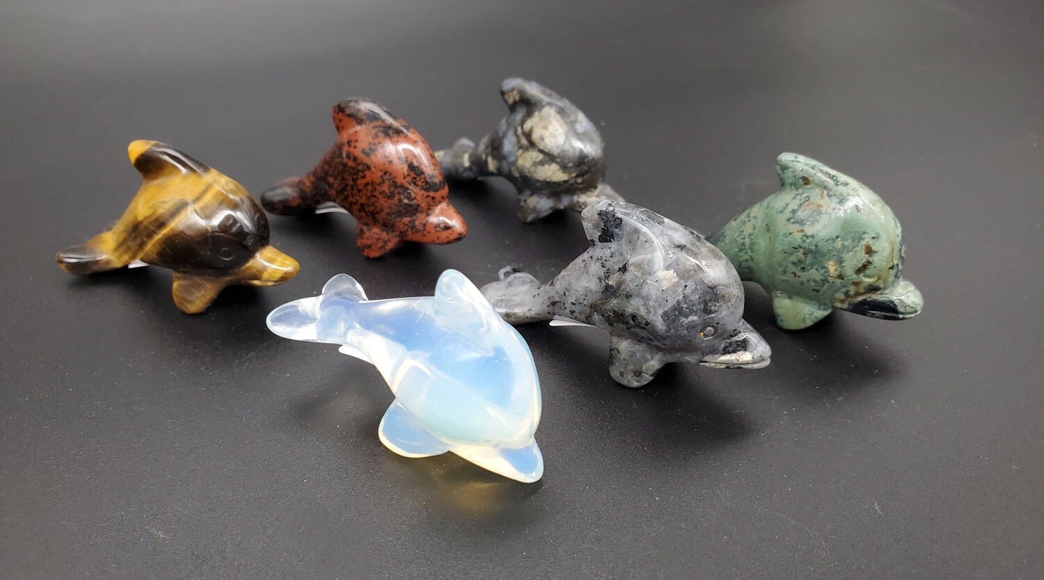 MINI DOLPHINS