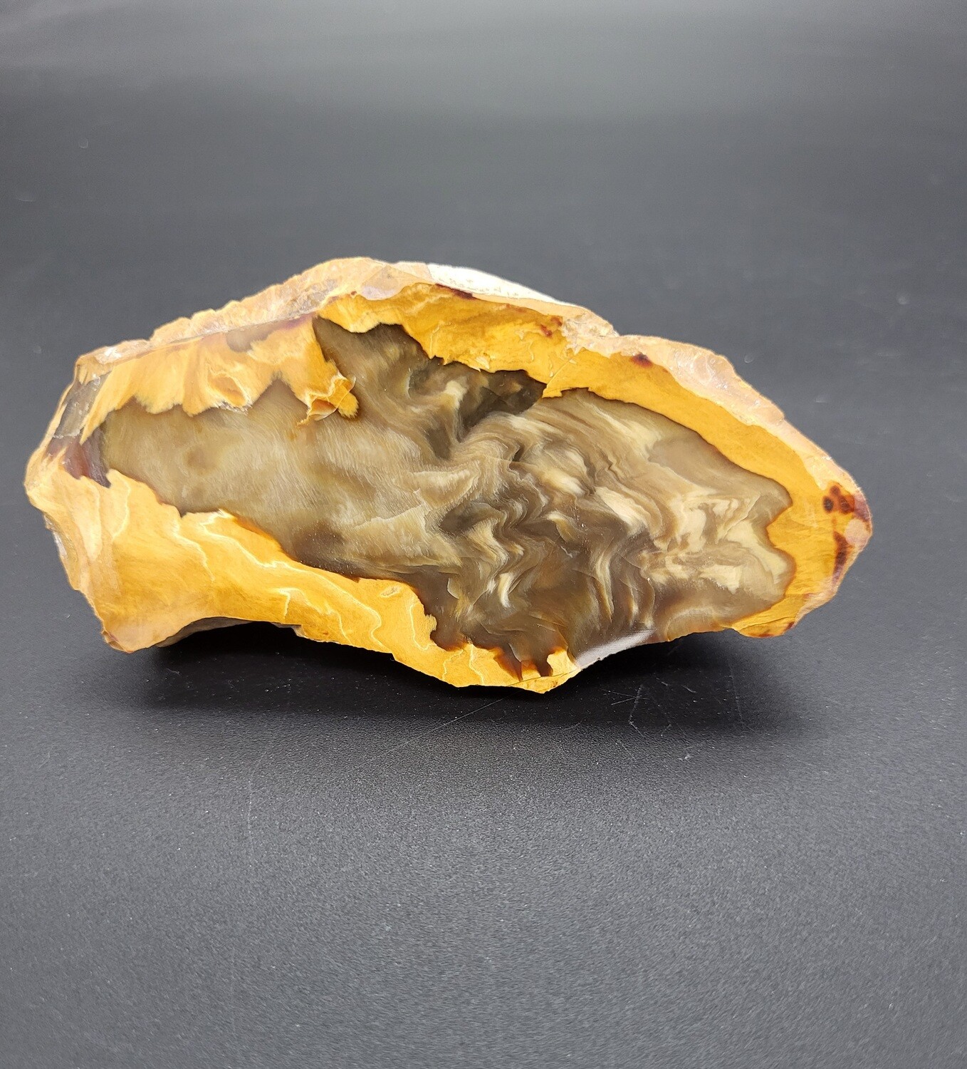 PETRIFIED WOOD &quot;K&quot;