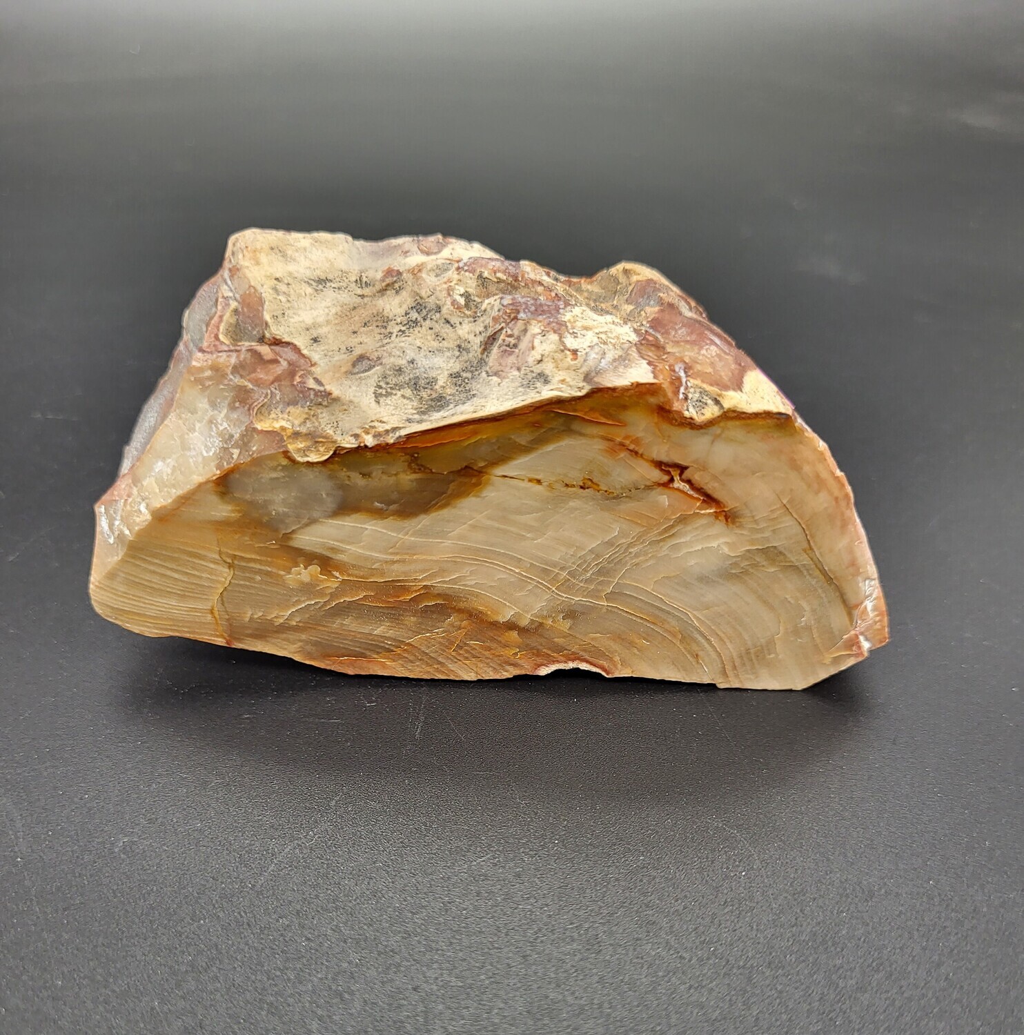 PETRIFIED WOOD &quot;N&quot;