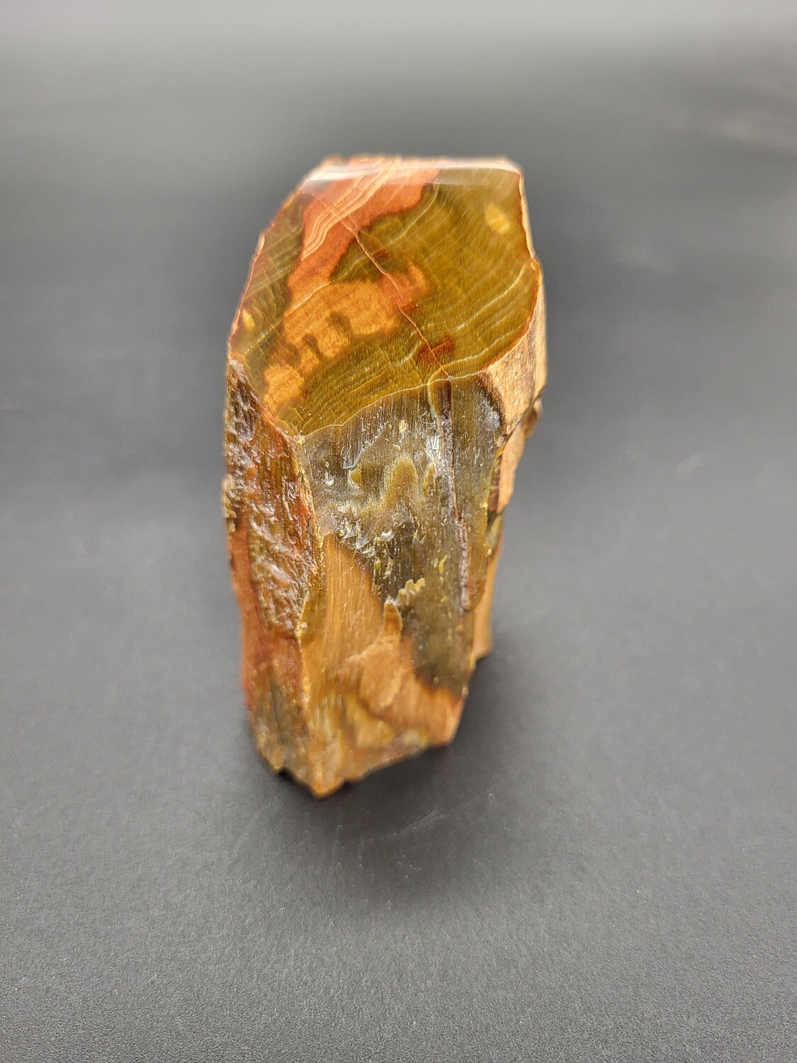 PETRIFIED WOOD &quot;O&quot;