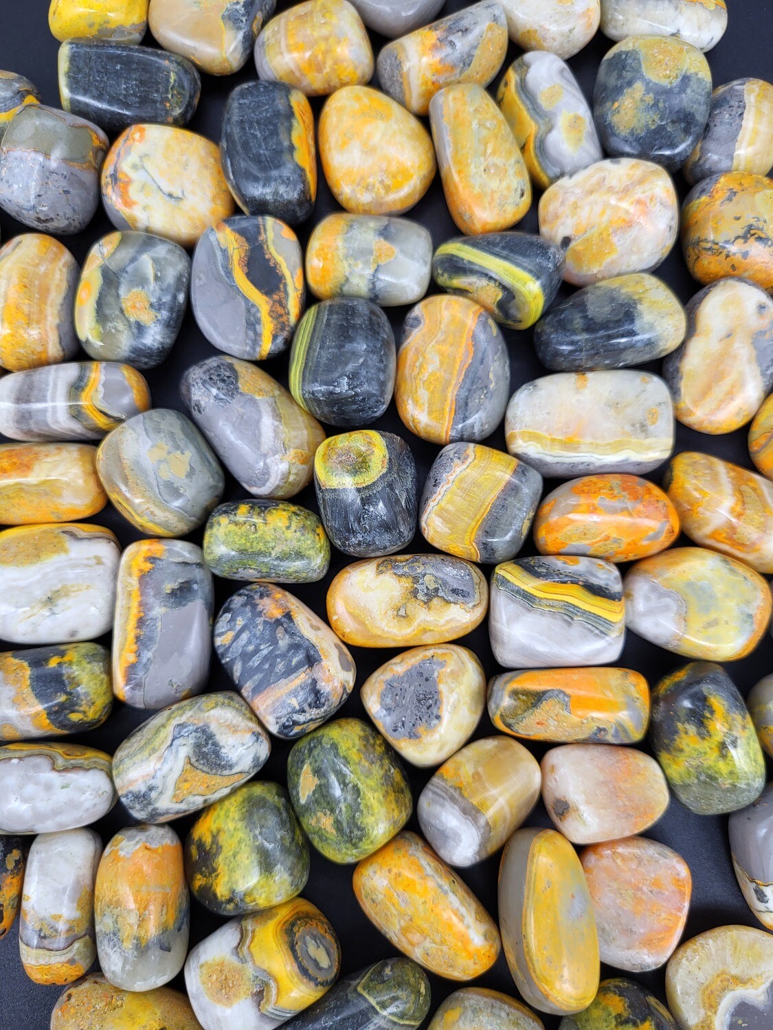BUMBLEBEE JASPER TUMBLES