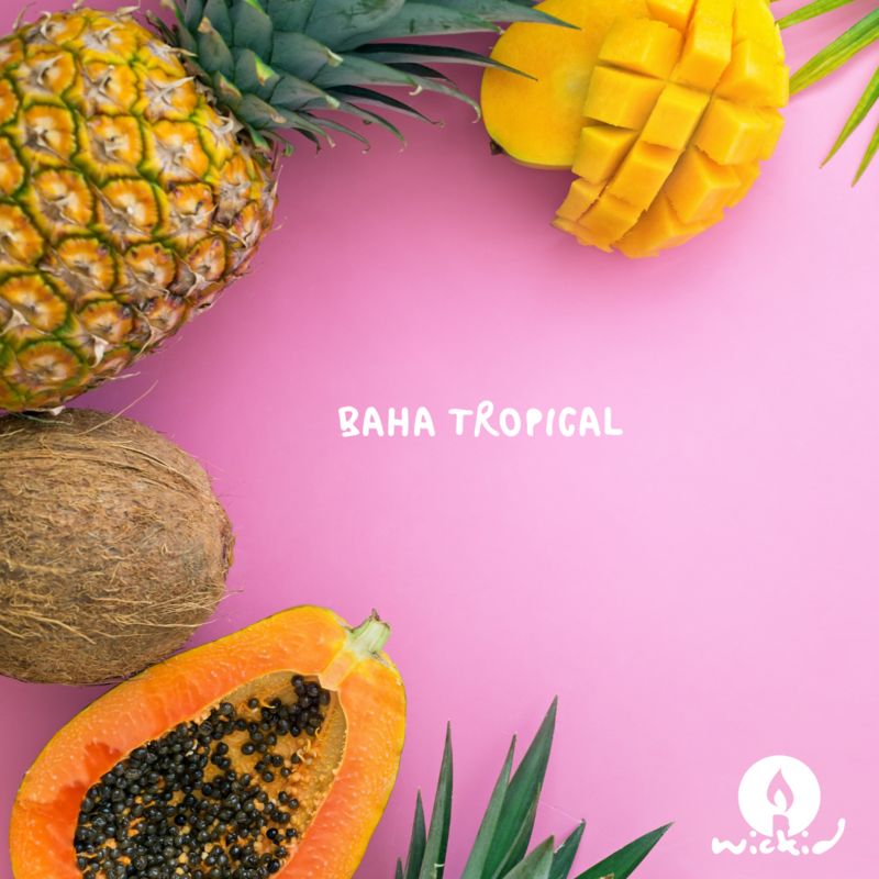 Baha Tropical WHOLESALE