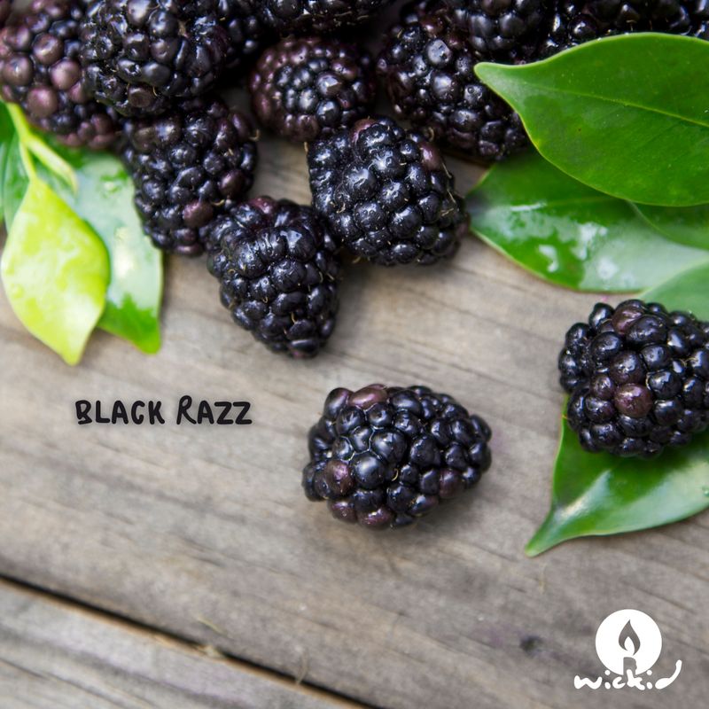 Black Razz WHOLESALE