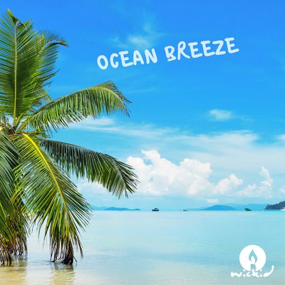 Ocean Breeze WHOLESALE