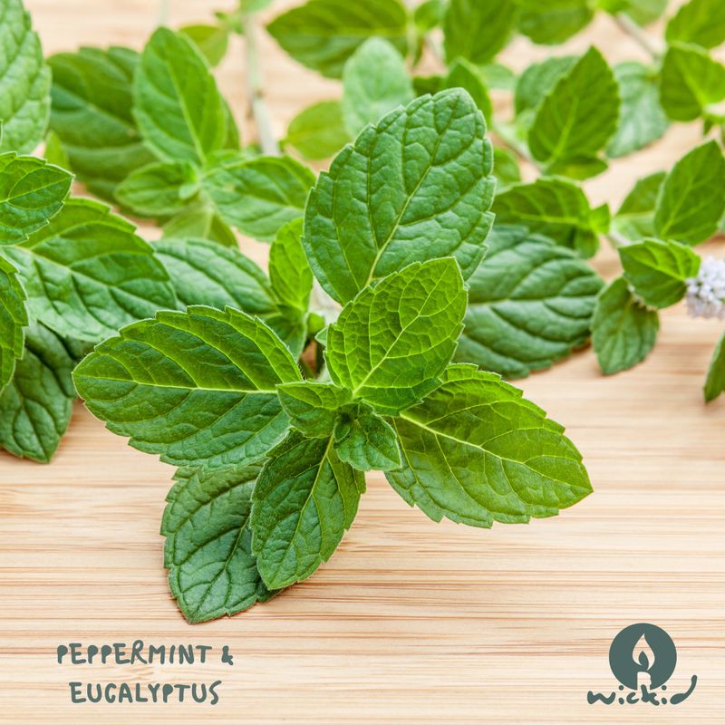 Peppermint &amp; Eucalyptus