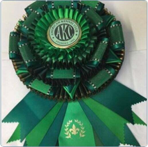 Trophy - Best Bred by Exhibitor