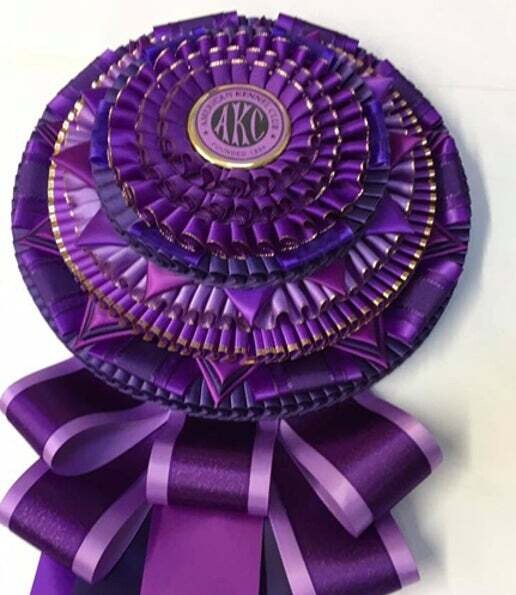 Trophy - Winners Bitch