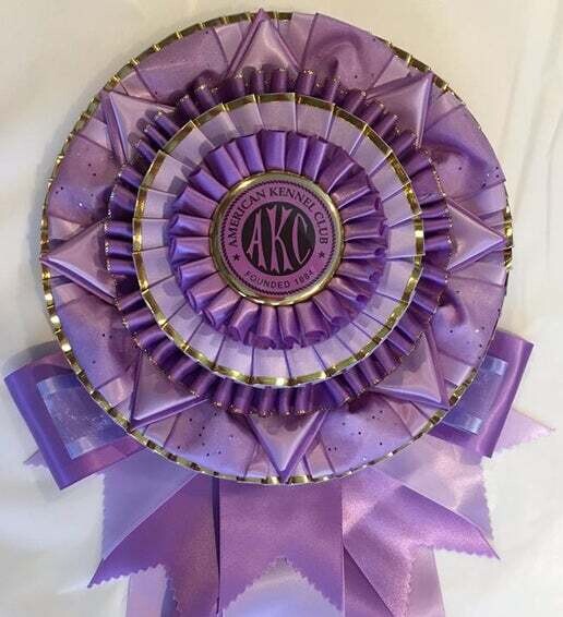 Trophy - Best of Opposite in Puppy Sweeps