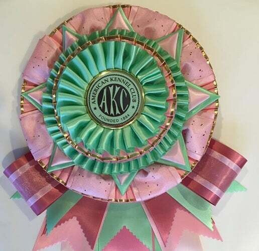 Trophy - Best in Veteran Sweeps