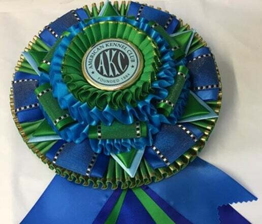 Trophy - High Combined (Rally)