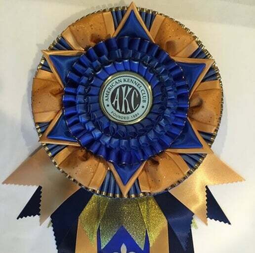 Trophy - High in Trial (Obedience)