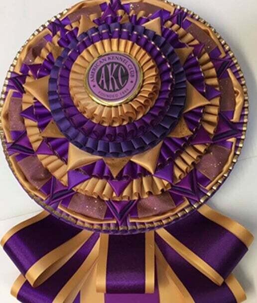 Trophy - Best of Breed