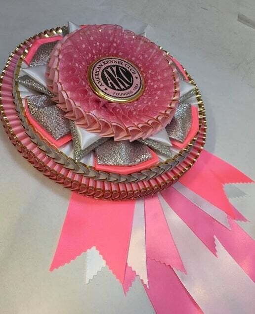 Trophy - Reserve Best Junior Handler