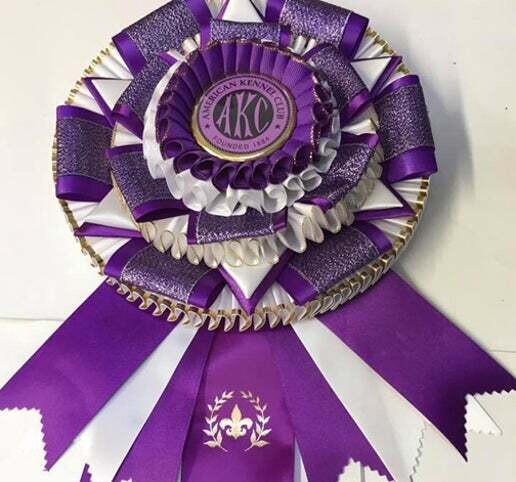 Trophy - Reserve Winners Dog