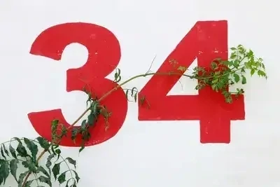 Deux chiffres 3 et 4 écrits en rouge et recouverts de lierre. Numérologie mail pour optimiser votre vie de couple
