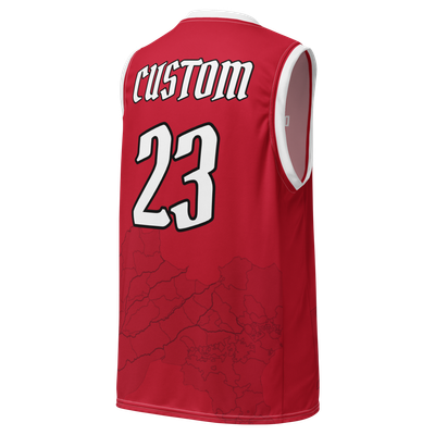 Panjabi Heat Basketball Jersey