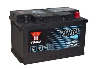 Batterie YUYSA YBX7100
