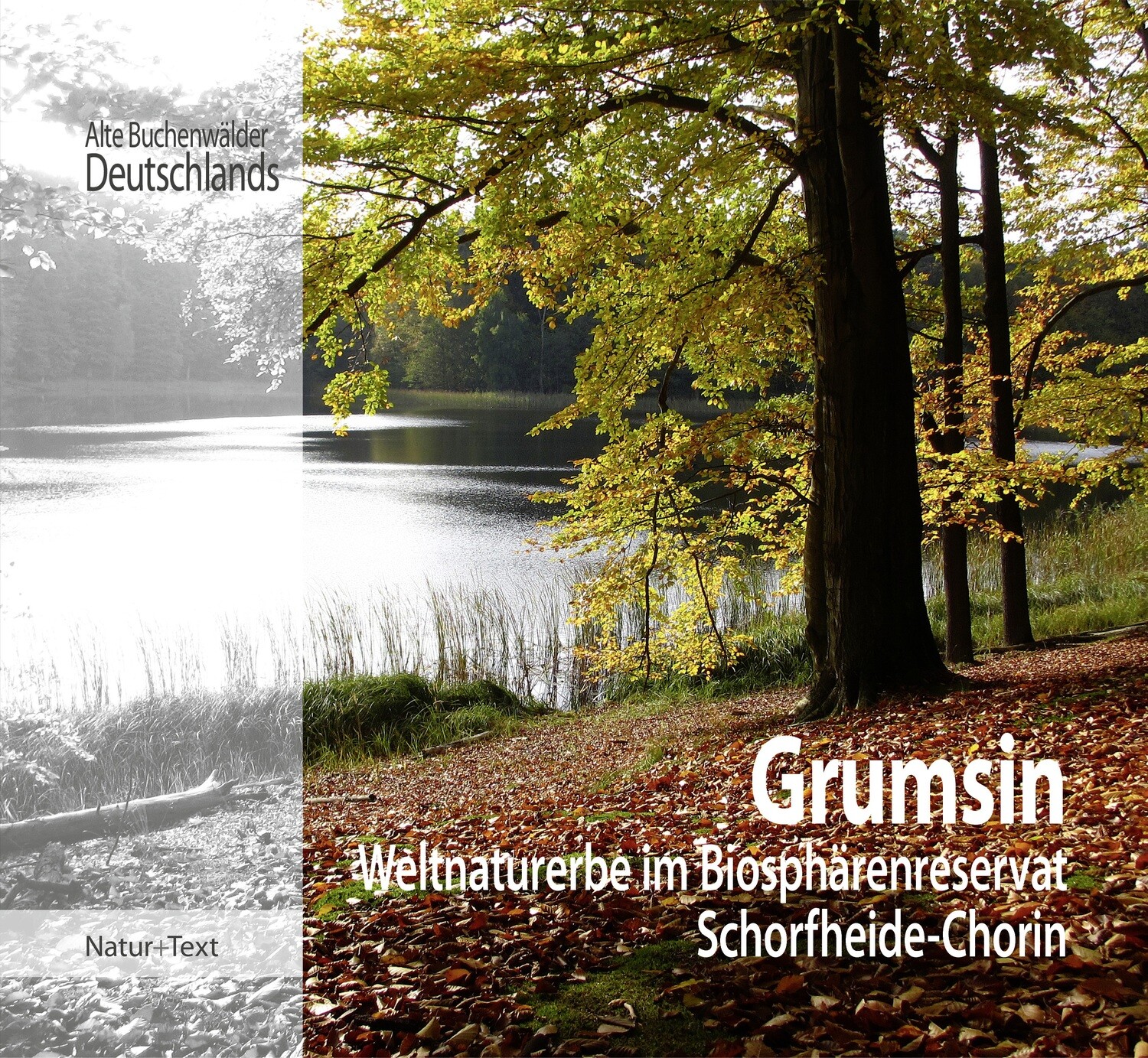 Grumsin - Weltnaturerbe im Biospährenreservat Schorfheide-Chorin