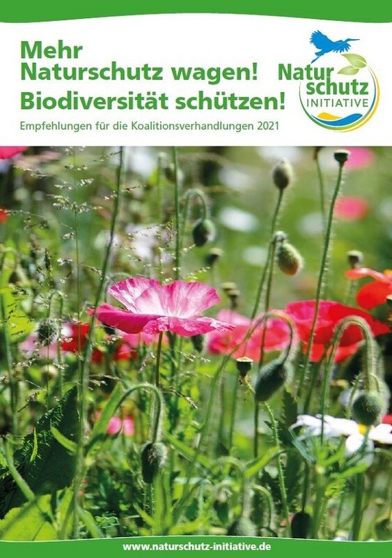 Mehr Naturschutz wagen! Biodiversität schützen! Mehr Naturschutz wagen! Biodiversität schützen!