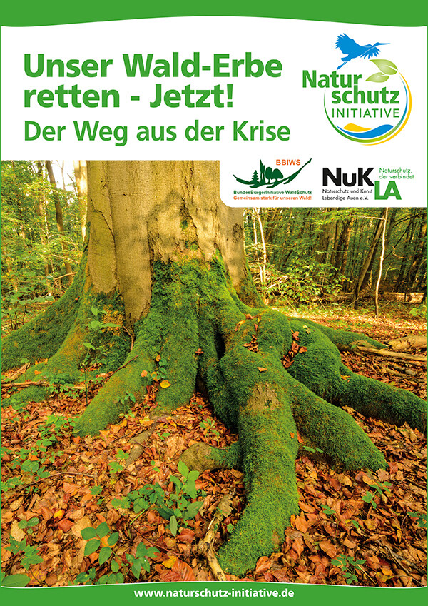 Unser Wald-Erbe retten – Jetzt!