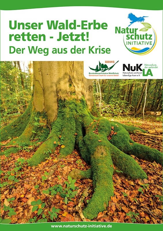 Unser Wald-Erbe retten – Jetzt! Unser Wald-Erbe retten – Jetzt!