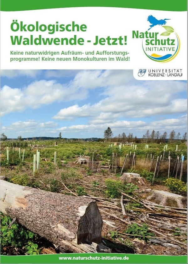 Ökologische Waldwende – Jetzt!