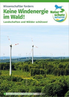 Wissenschaftler fordern: Keine Windenergie im Wald!