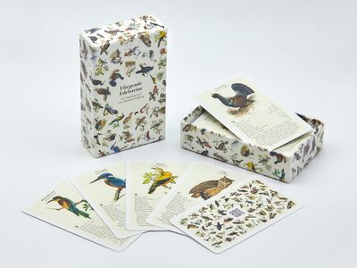 „Fliegende Edelsteine“ - Das Vogelquartett „Fliegende Edelsteine“ - Das Vogelquartett