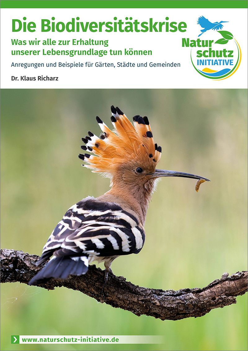 Die Biodiversitätskrise - Was wir alle zur Erhaltung unserer Lebensgrundlage tun können