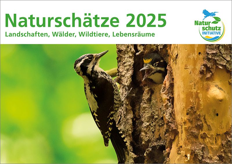 Kalender Kalender "Naturschätze 2025" - Format DIN A5