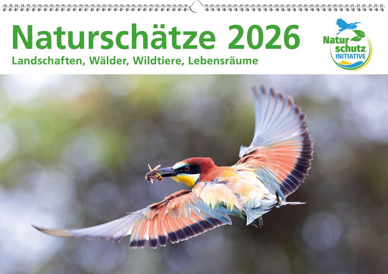 Kalender "Naturschätze 2026" - Format DIN A4