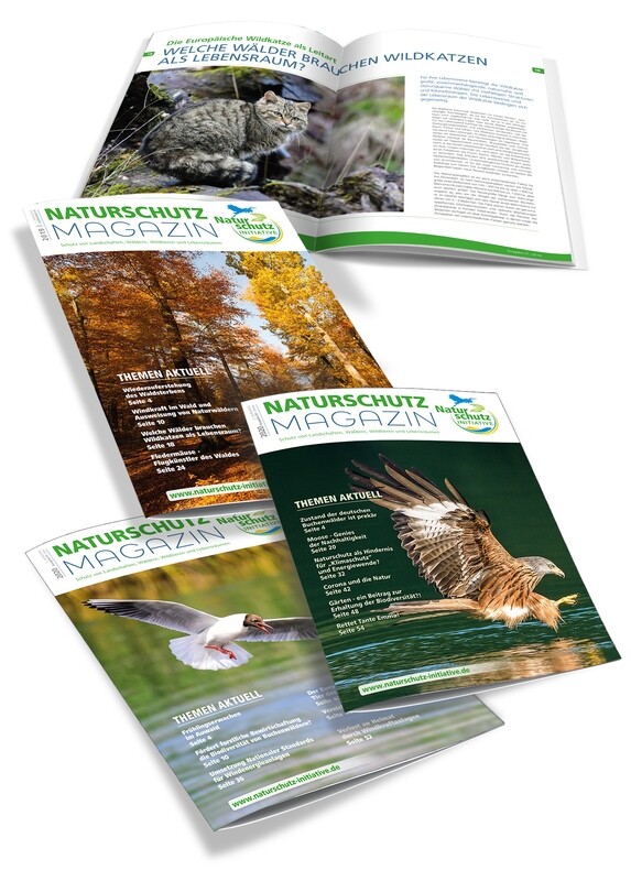 Jahres-Abo Naturschutz Magazin