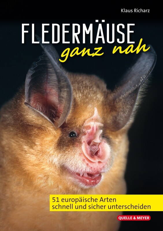 Fledermäuse ganz nah - 51 europäische Arten schnell und sicher unterscheiden