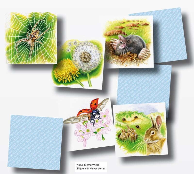 Natur-Memo "Wiese"