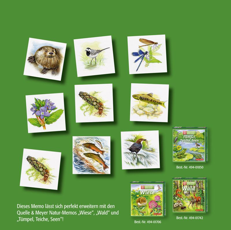 Natur-Memo "Quellen, Bäche, Flüsse"