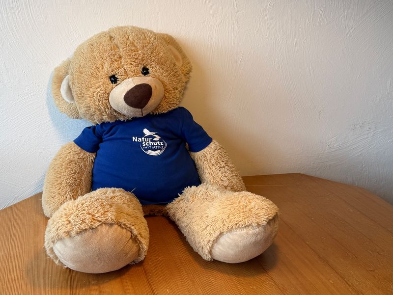 T-Shirt für Kinder (bedruckt) T-Shirt für Kinder (bedruckt)