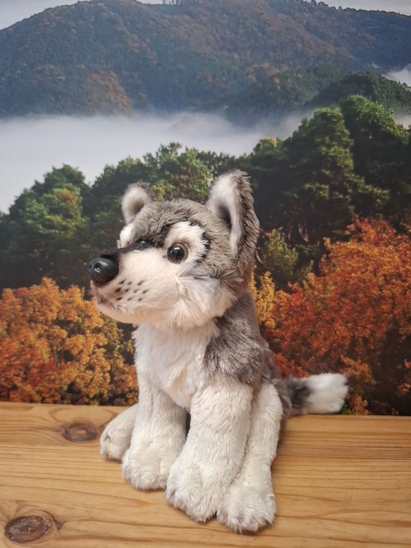 Wolf - Kuscheltier 15 cm