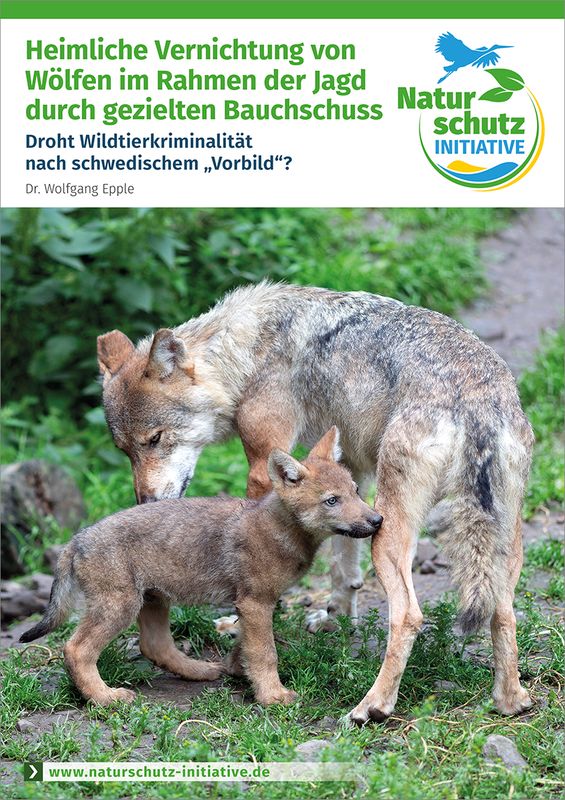 Heimliche Vernichtung von Wölfen im Rahmen der Jagd durch gezielten Bauchschuss Heimliche Vernichtung von Wölfen im Rahmen der Jagd durch gezielten Bauchschuss