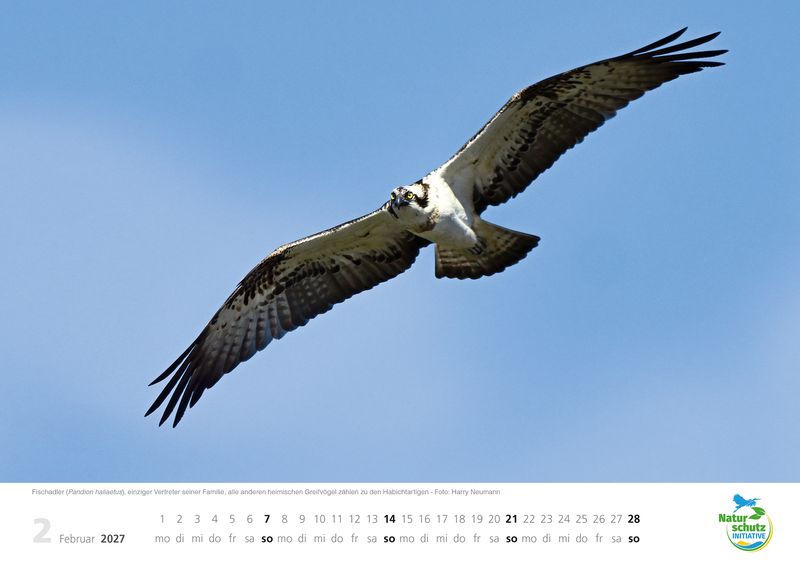 Kalender "Naturschätze 2027" - Format DIN A4