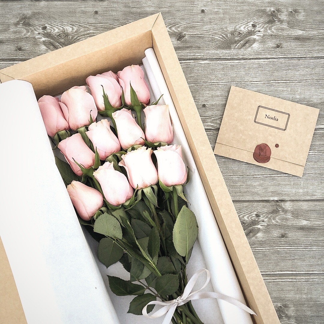 Long Box 12 Rosas