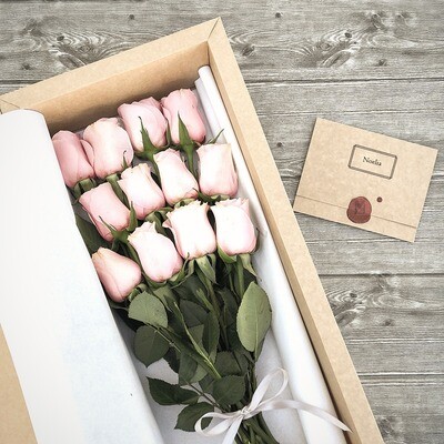 Long Box 12 Rosas