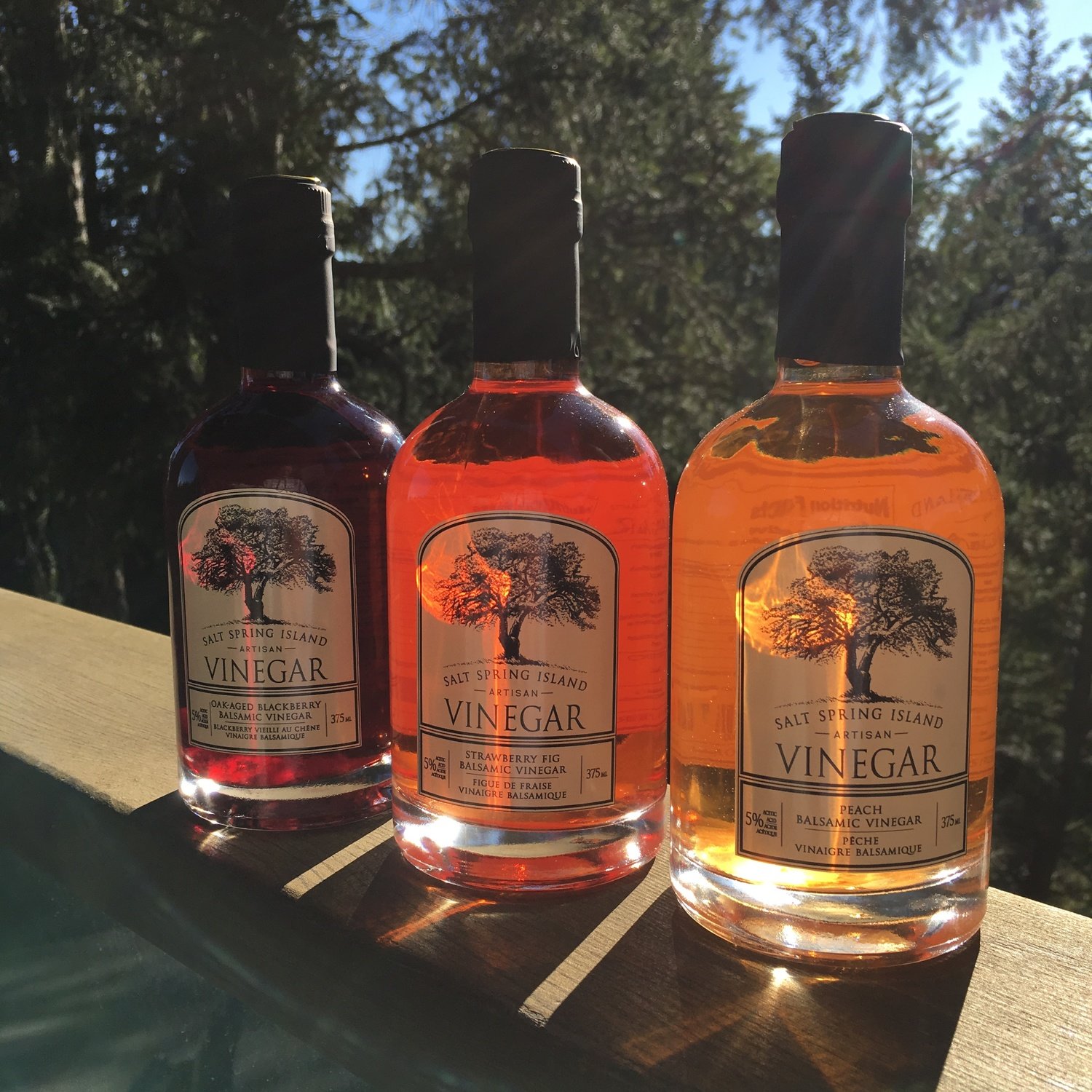 Fruit Balsamic Vinegars 375ml Fruit Balsamic Vinegars 375ml
