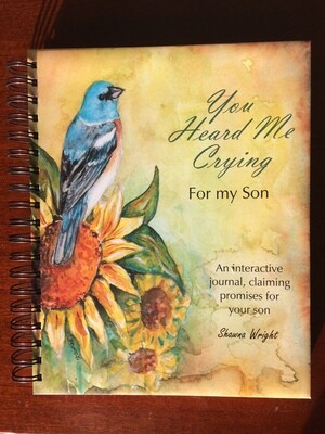 You Heard Me Crying For My Son