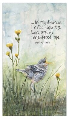 &quot;My Cry&quot; (Magnet)