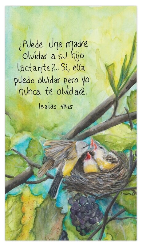 Isaias 49:15 (Spanish Fridge Magnet)