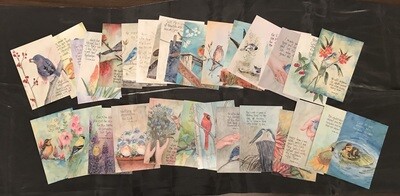 Variety Pack of 30