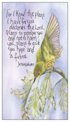 &quot;Hope And A Future&quot; (Magnet)